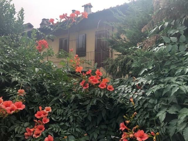 לינה וארוחת בוקר טורינו La Casina Del Grillo מראה חיצוני תמונה